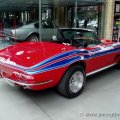 stingrayh1