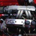 stingraymotor