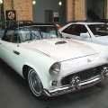 thunderbirdweiss001