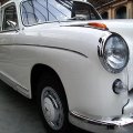 pontonweiss011