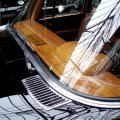DB600frondsch