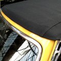 stagsafran060