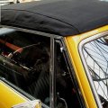 stagsafran061