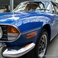 stag006