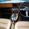 stag019