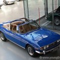 stag031