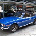stag043