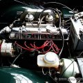 tr250motor