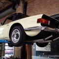 TR6h